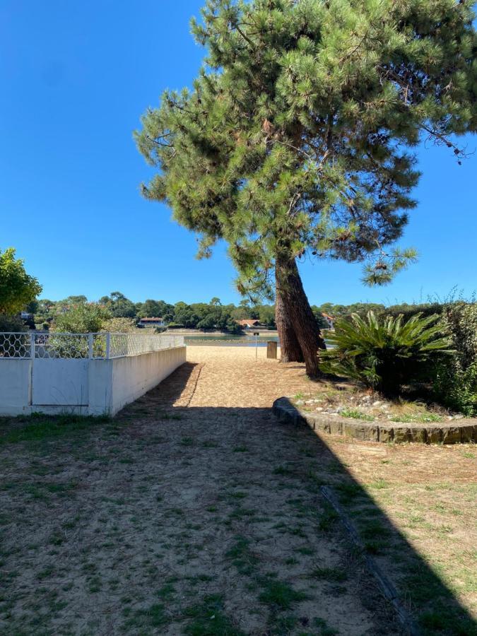 Un Cocon Climatise Au Bord Du Lac D'Hossegor Soorts-Hossegor Εξωτερικό φωτογραφία